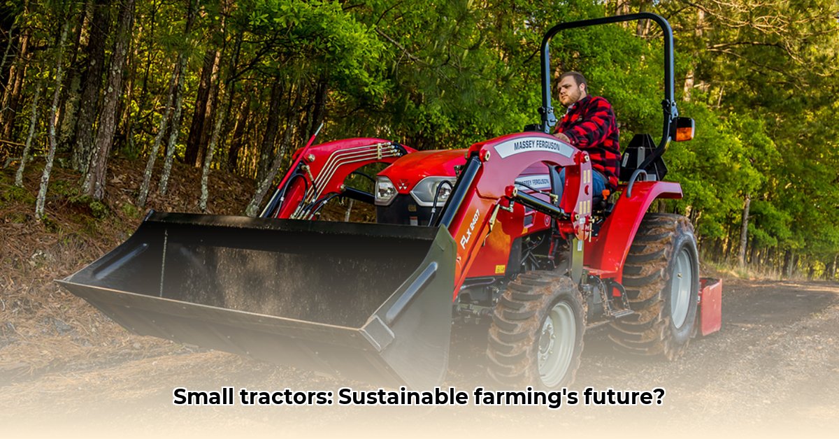 small-massey-tractor